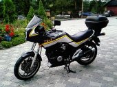 1989 Yamaha XT 600 (reduced effect) photo
